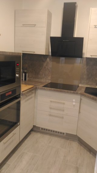 Borovice světlá