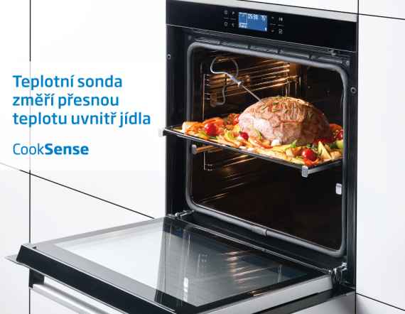 Teplotní sonda